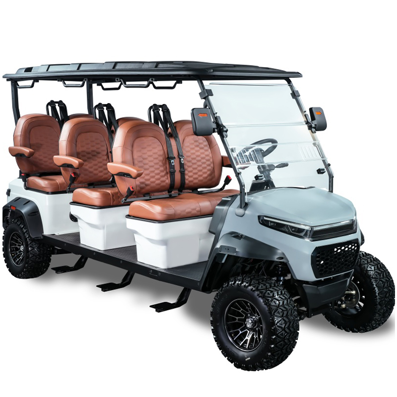 6-seater golf cart